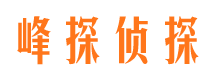 洛南峰探私家侦探公司